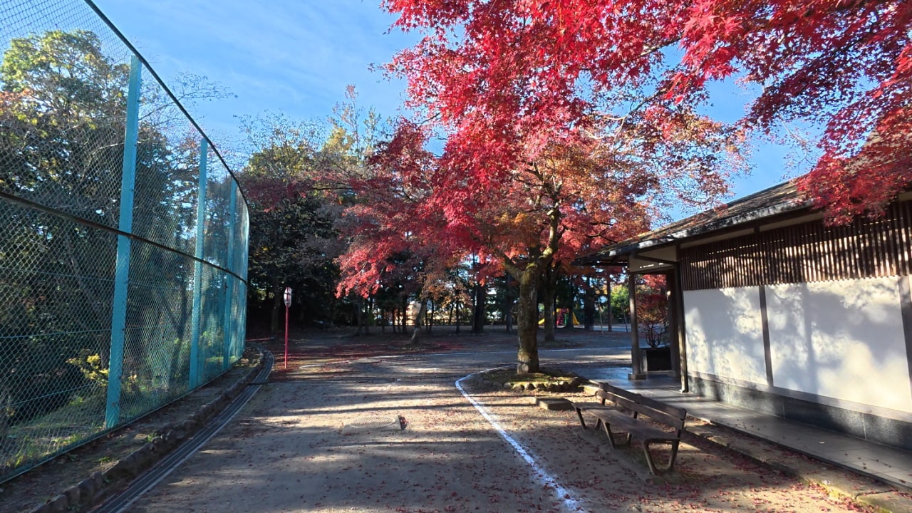 永山公園(TCNスポーツパーク永山)