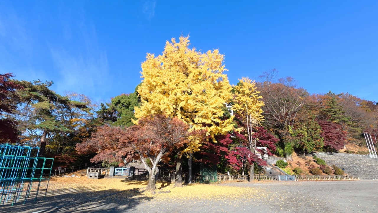 永山公園(TCNスポーツパーク永山)