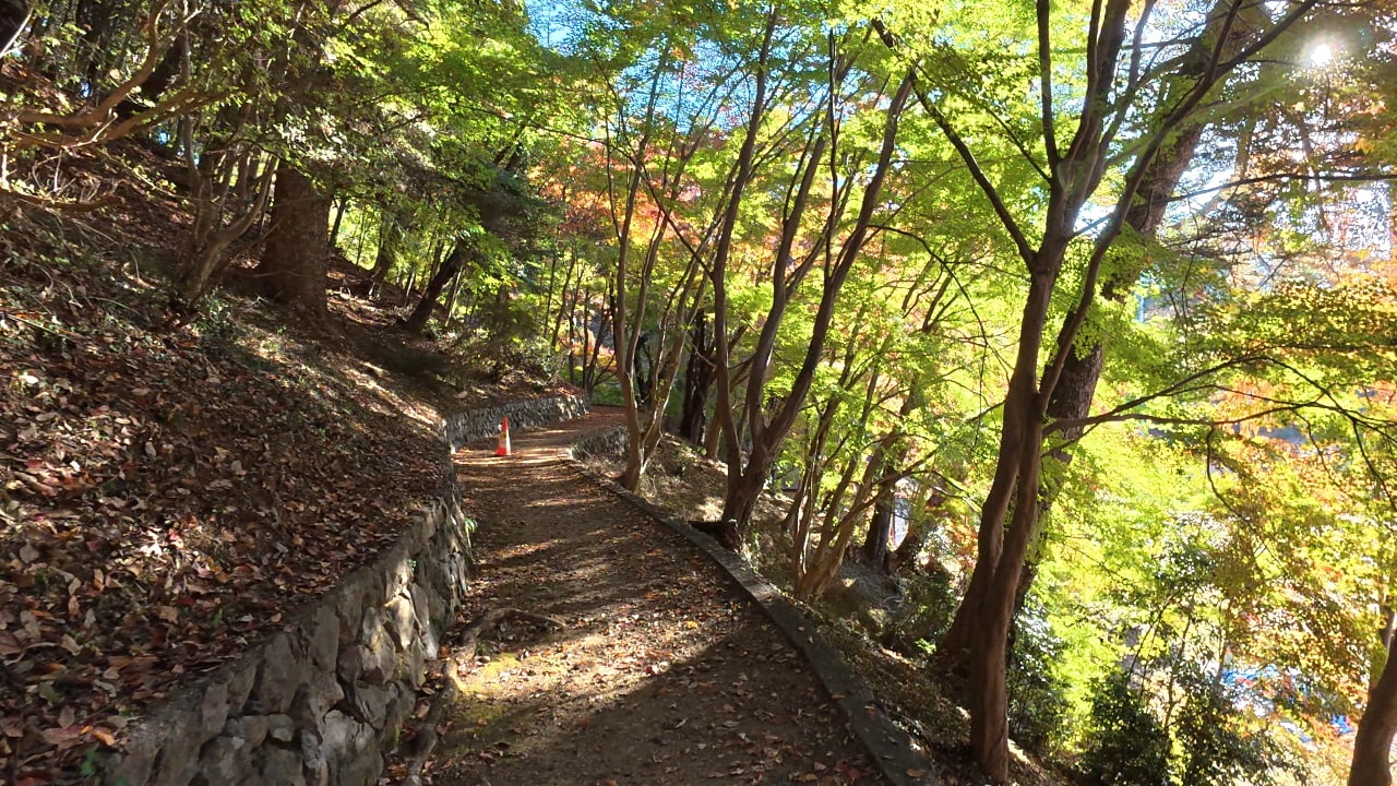 永山公園(TCNスポーツパーク永山)