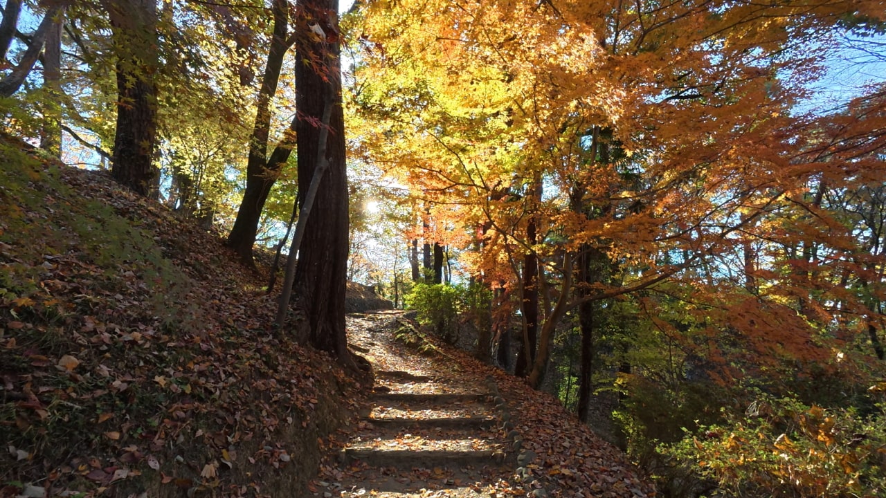 永山公園(TCNスポーツパーク永山)