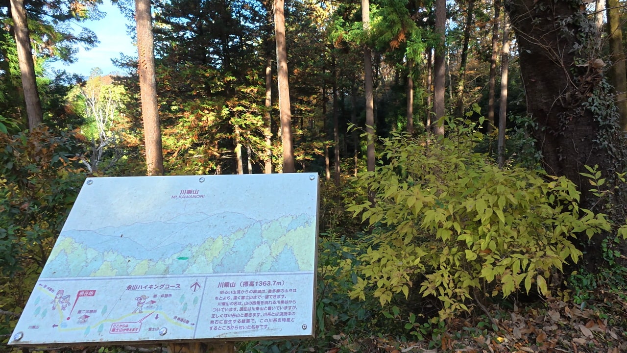 川苔山展望スポット