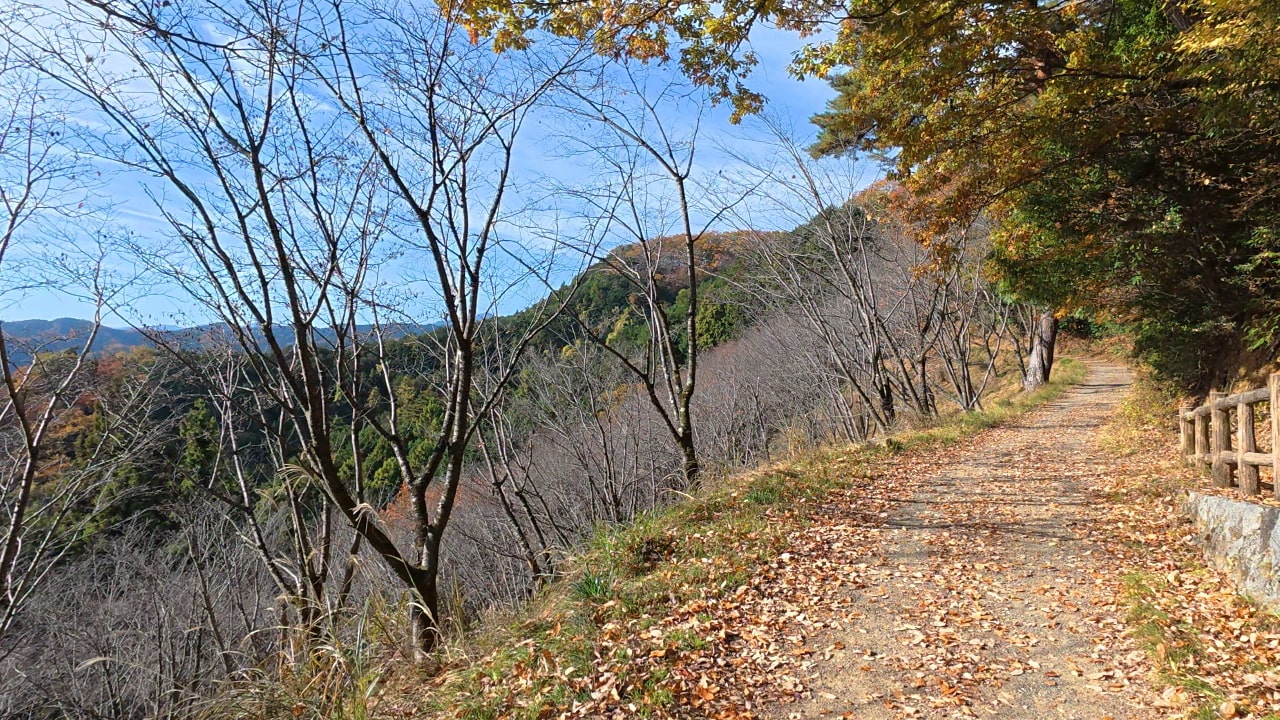 第4休憩所のすぐ先の桜の植林地