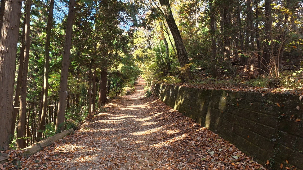 矢倉台の下の坂