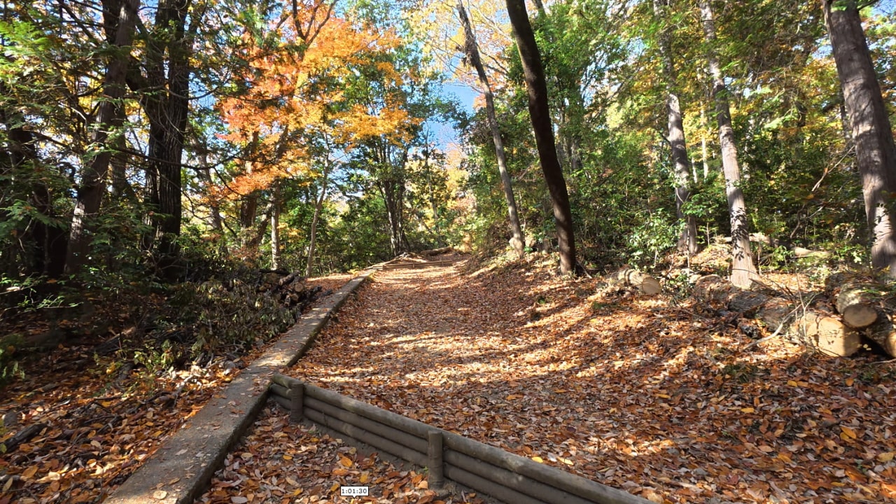 矢倉台の下の坂