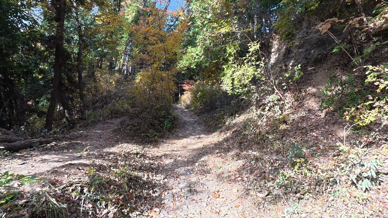 矢倉台の下の坂