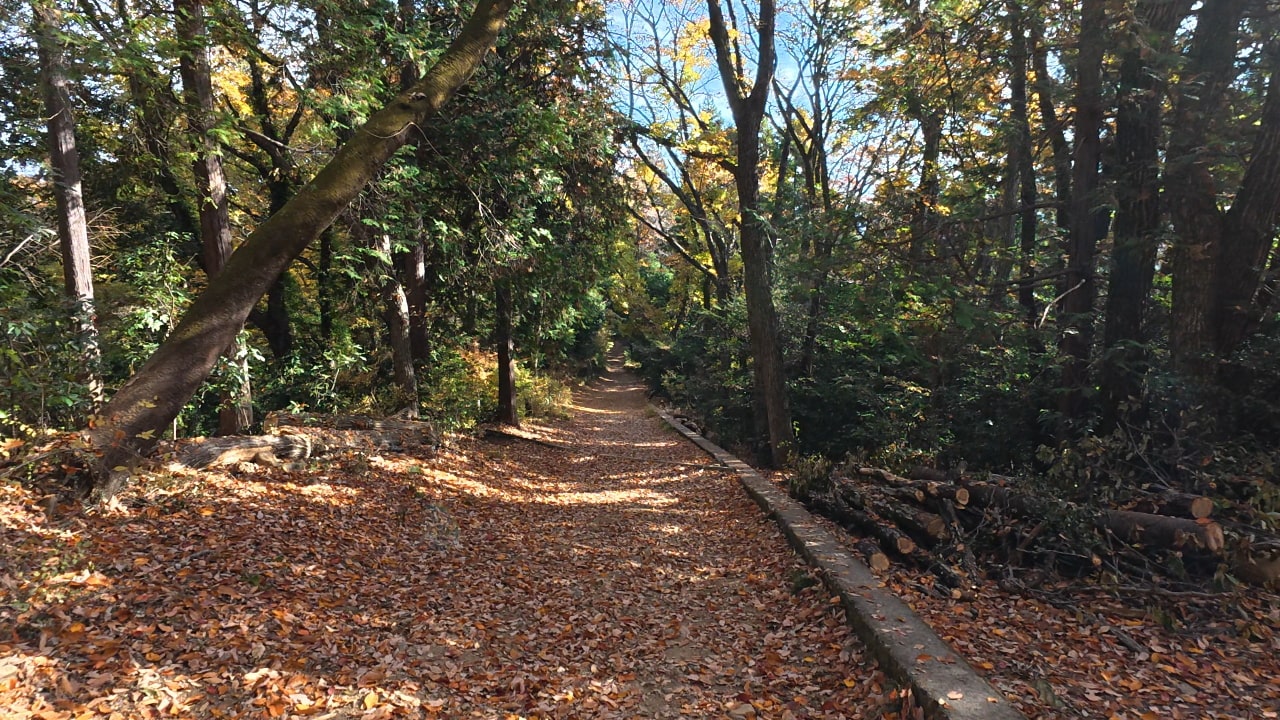 先ほどの坂を下りる