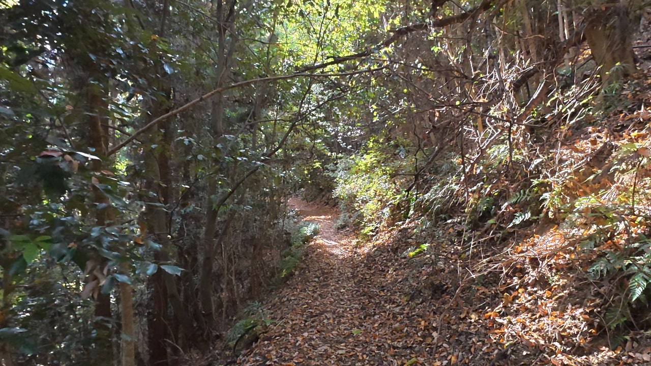 宮ノ平駅までの山道