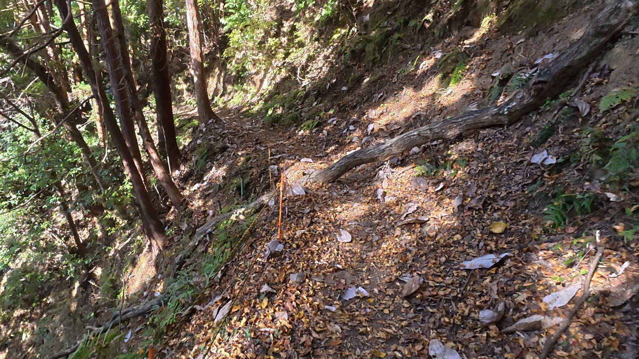 宮ノ平駅までの山道