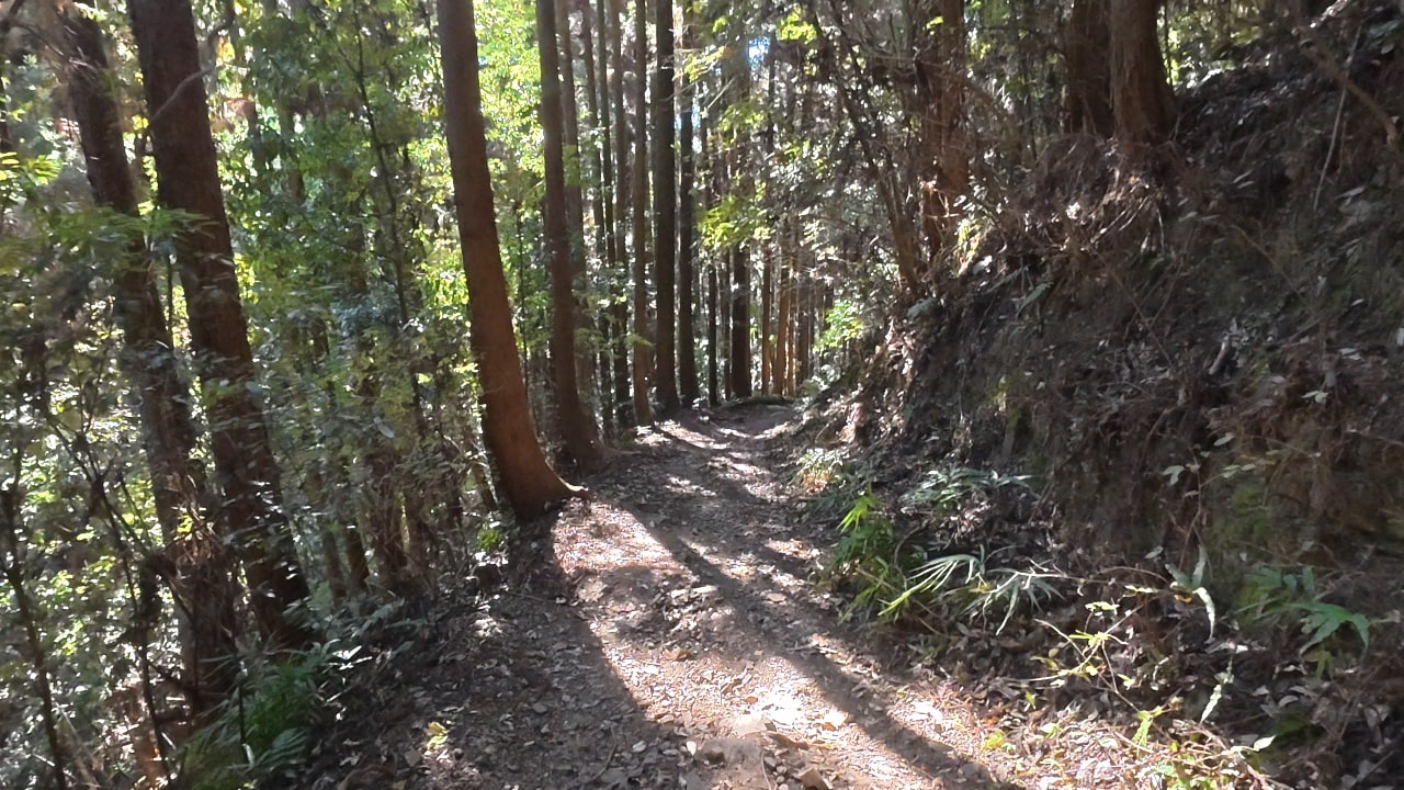 宮ノ平駅までの山道