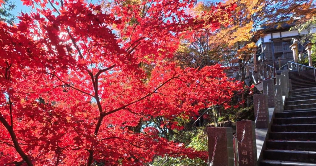 紅葉の御岳山