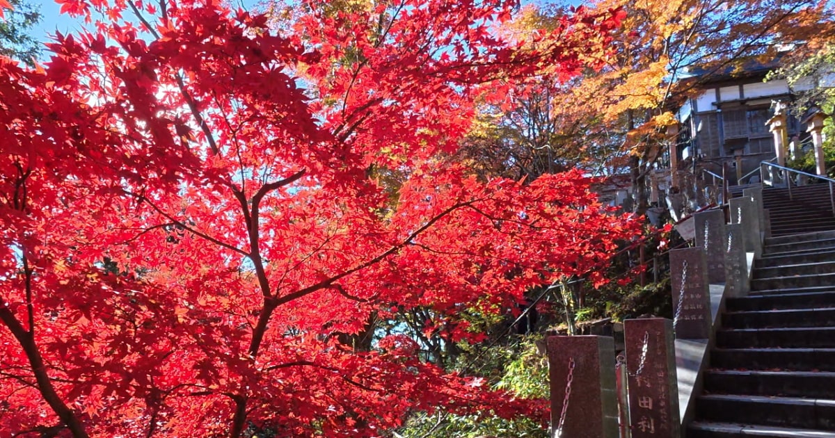紅葉の御岳山