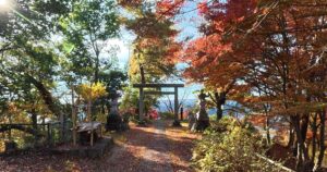 青梅丘陵ハイキングコース