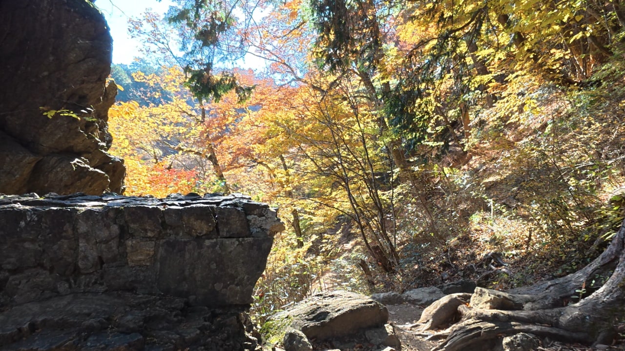 ロックガーデンに向かいます