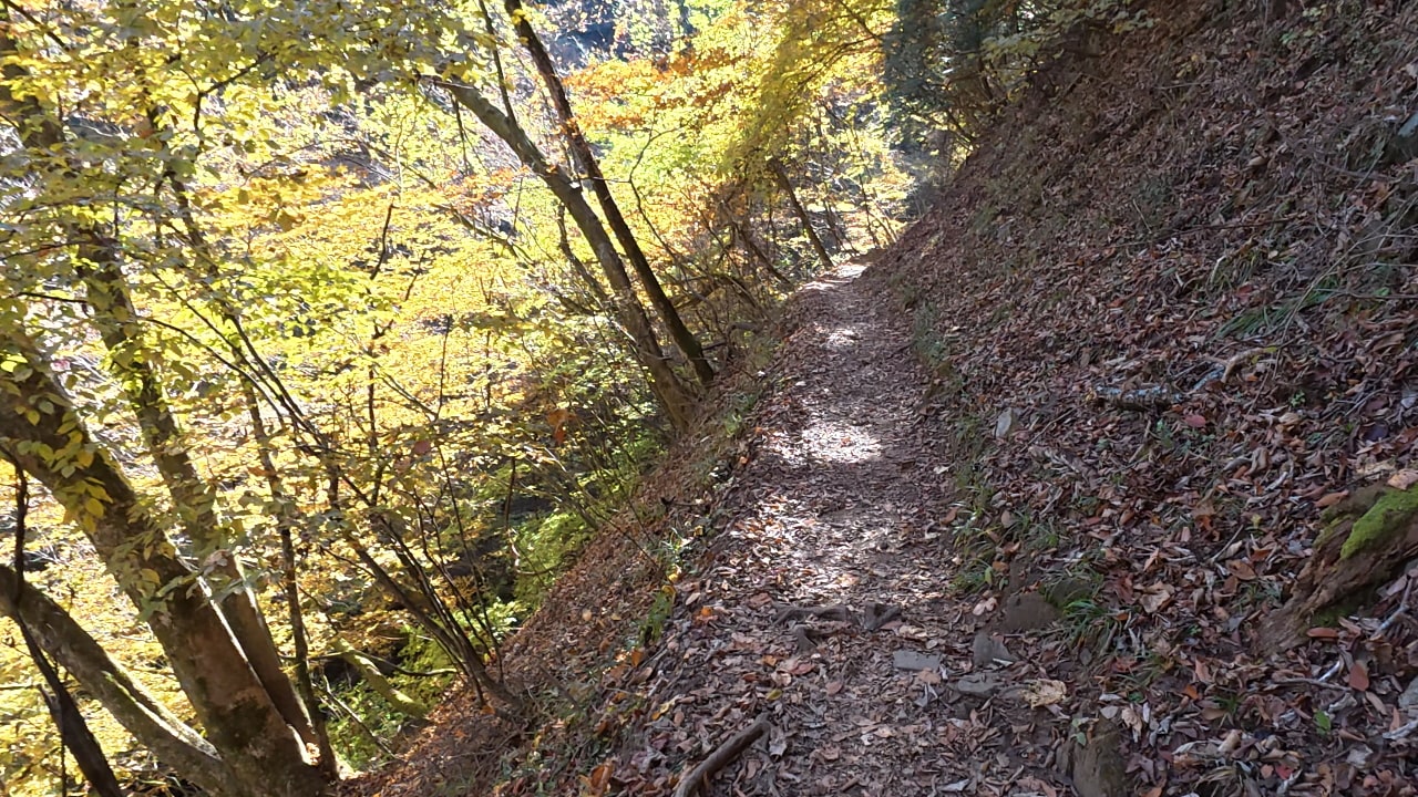 一部、道幅が狭いところあり、注意