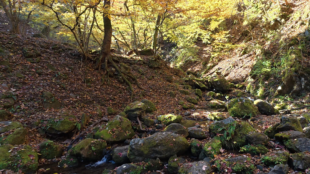 ロックガーデンに到着