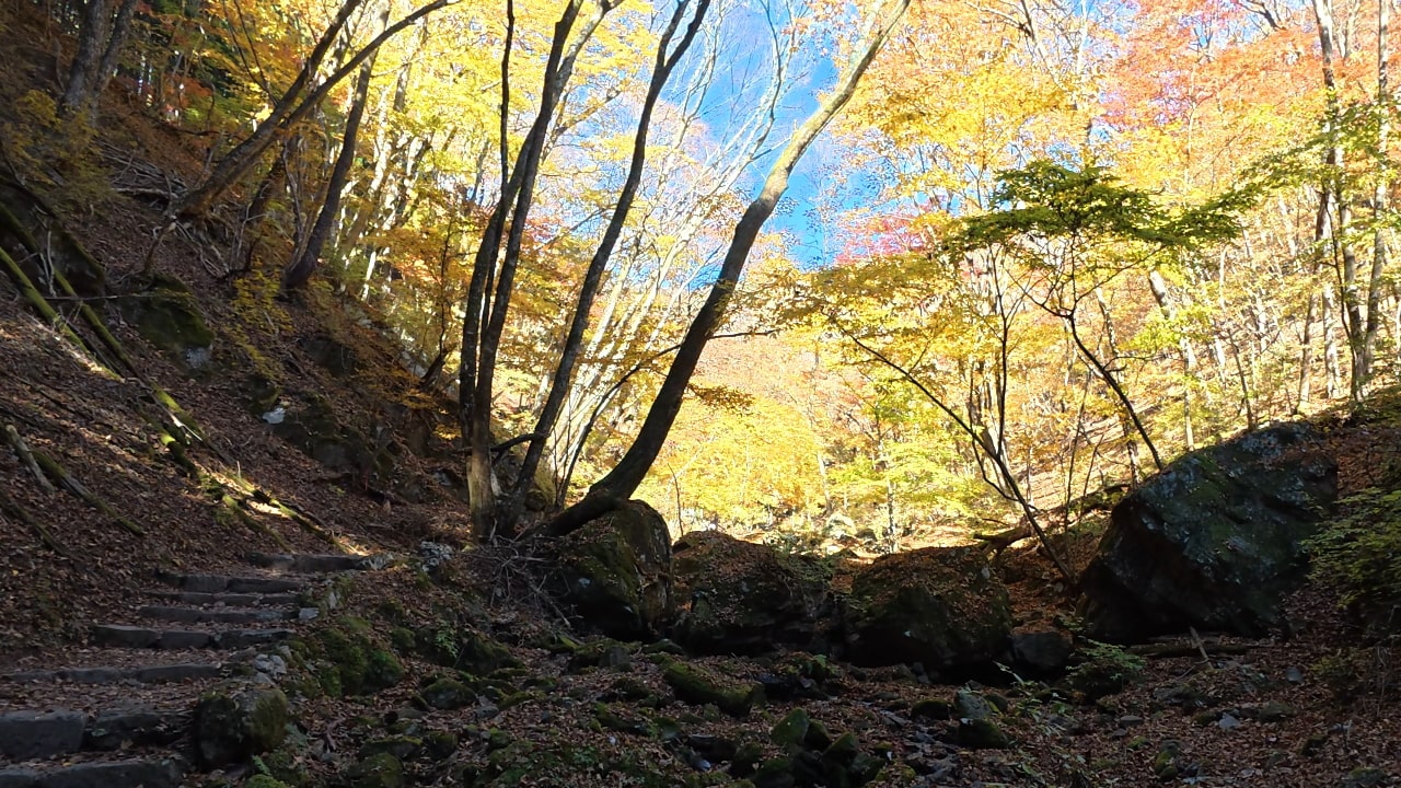 ロックガーデン