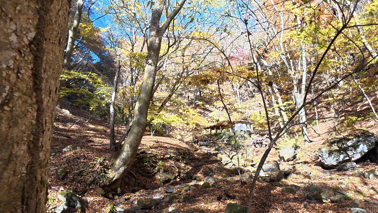 ロックガーデンの休憩所に到着