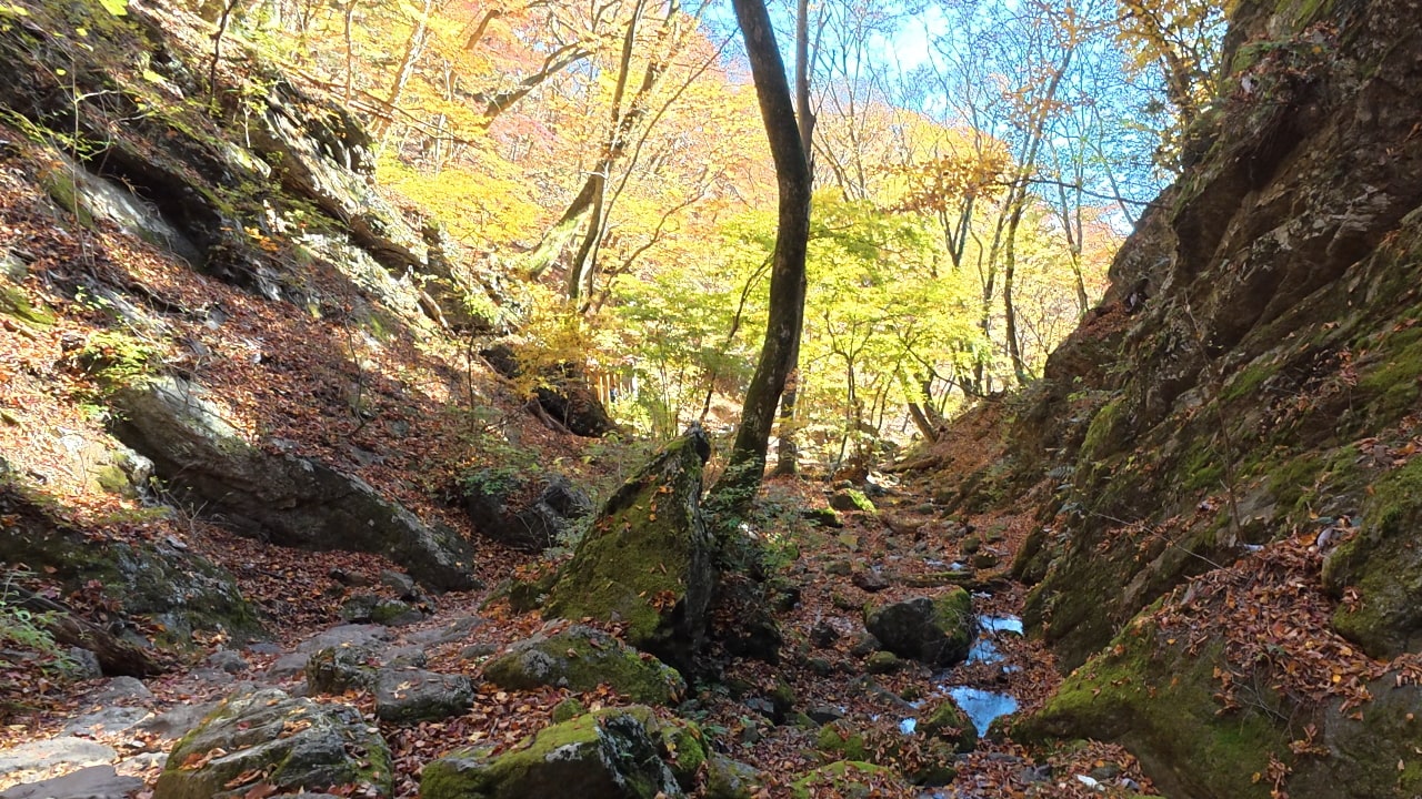 ロックガーデン