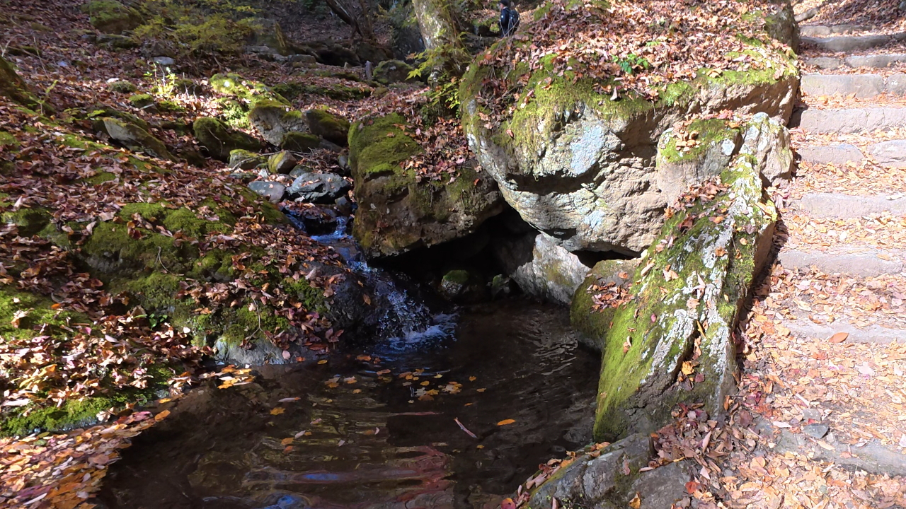 ロックガーデン