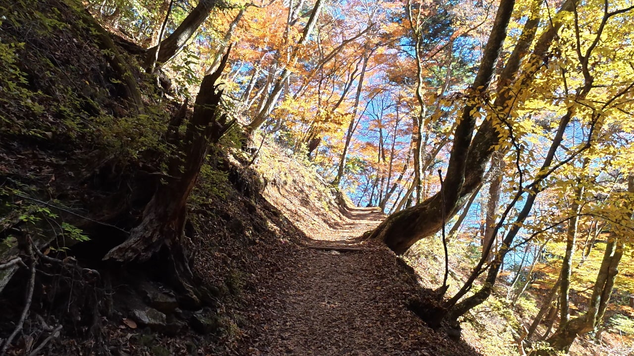 ゆるやかに登ります