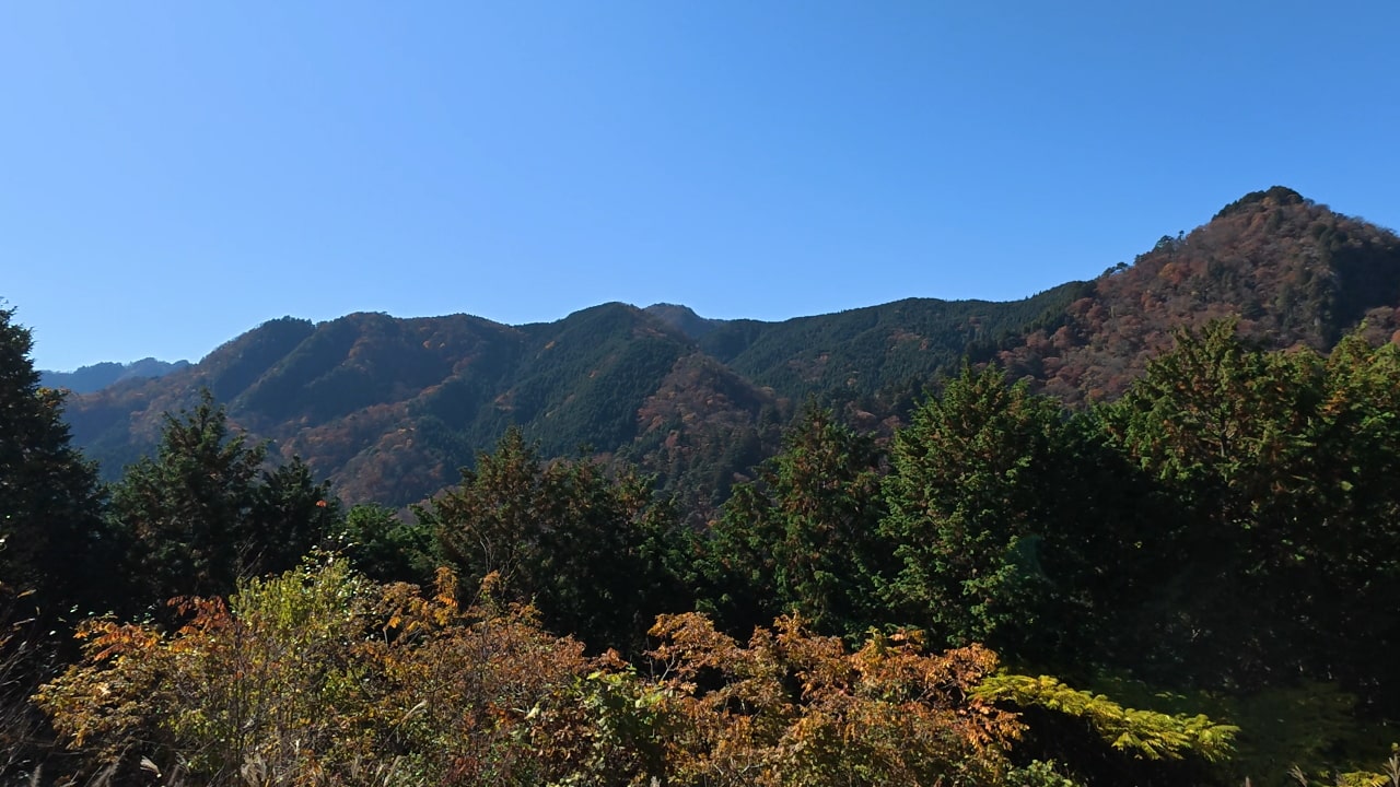 大岳山