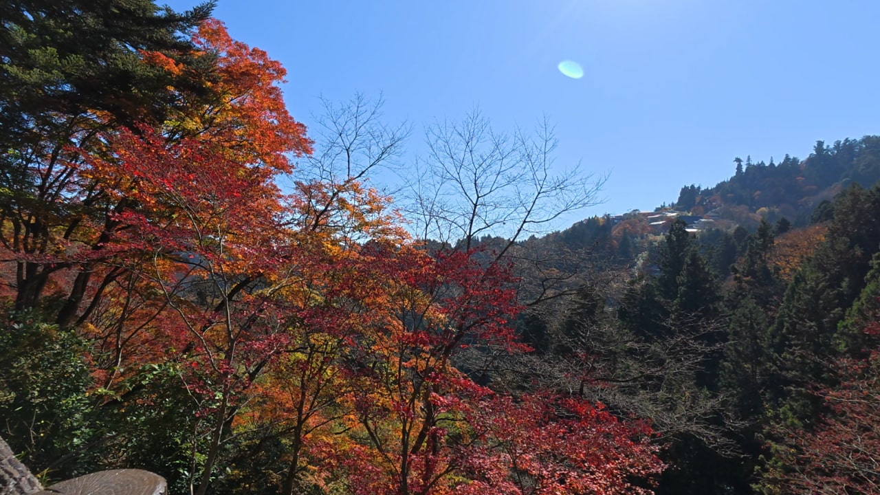 参道を御岳平まで戻る