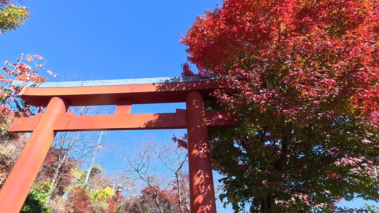 紅葉と鳥居