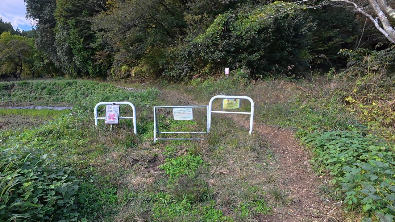 「横沢・小机林道」に入ります