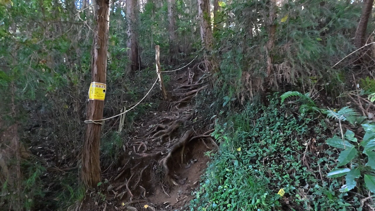 かなりの急登です