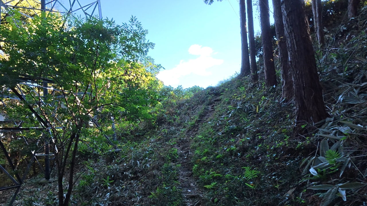 何やら開けそうな予感
