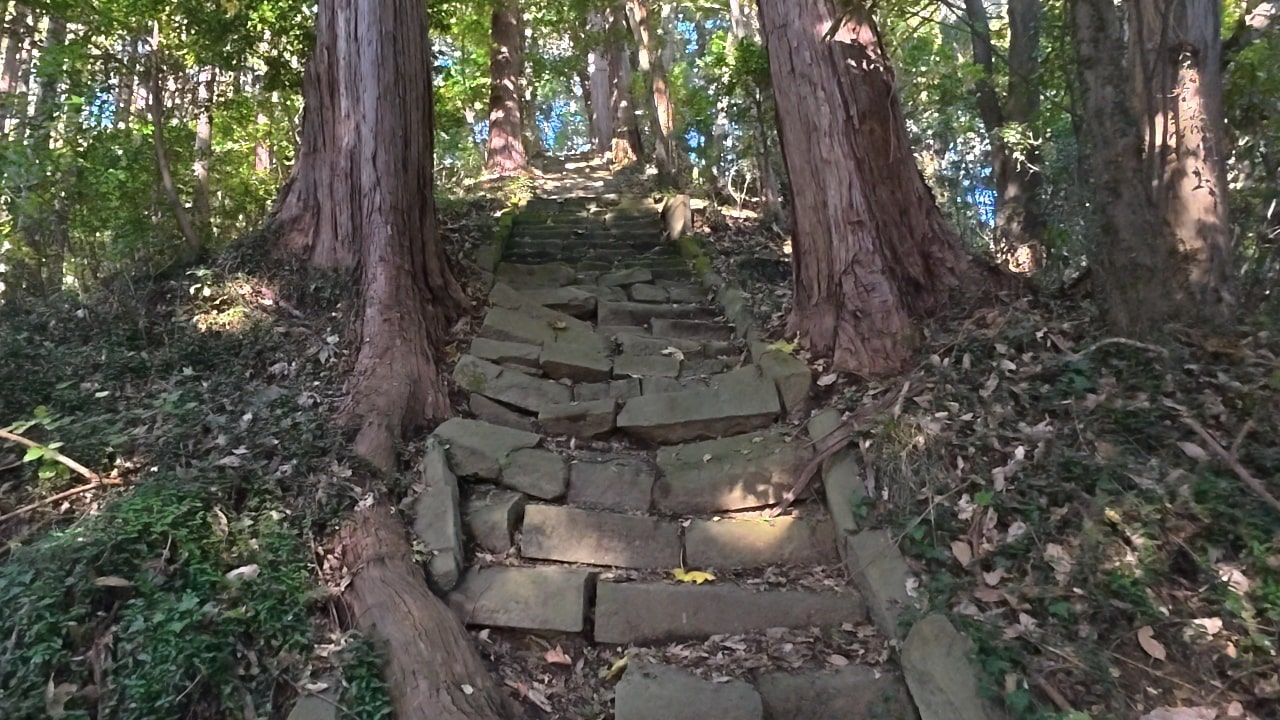 下りてきた石段を振り返る
