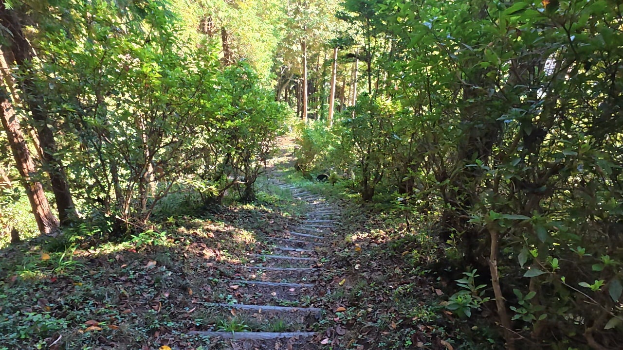 どんどん下ります